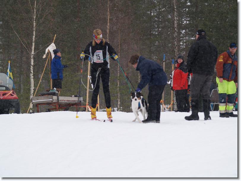 Nästa bild